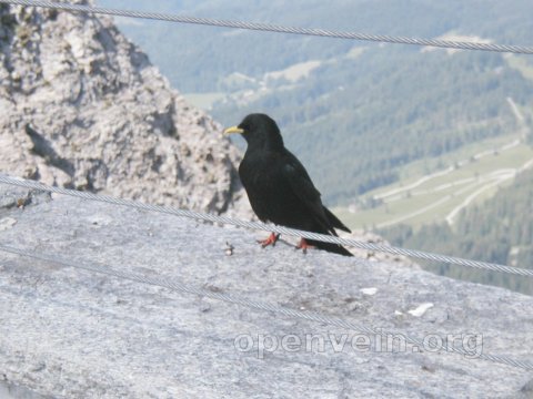 P6160109